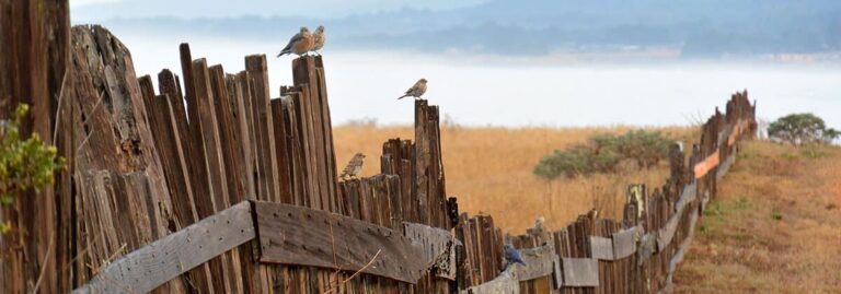 bbl_blog_image_2017-01-16