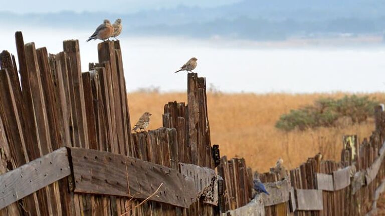 bbl_blog_image_2017-01-16