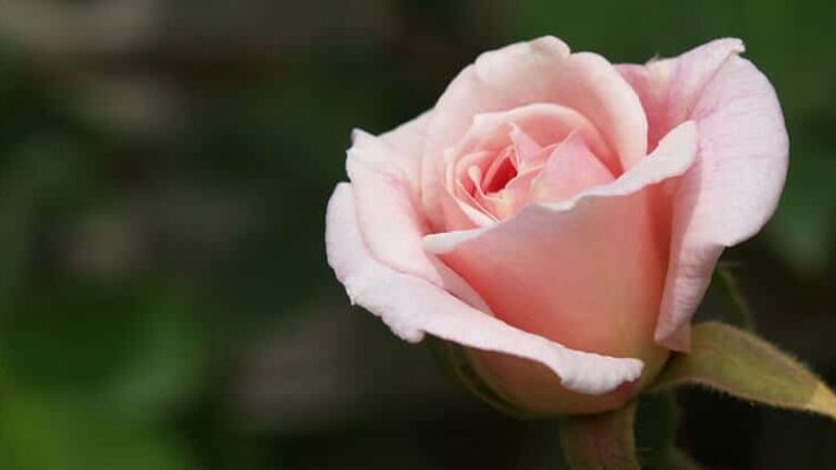 bbl_blog_image_2017-02-23