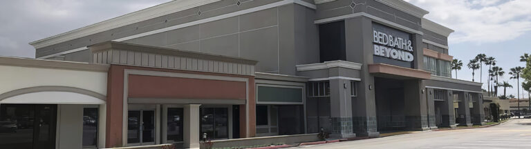 A large, empty Bed Bath & Beyond store with a prominent sign, vacant storefronts, and a mostly empty parking lot under a cloudy sky. Tall palm trees are visible in the background.