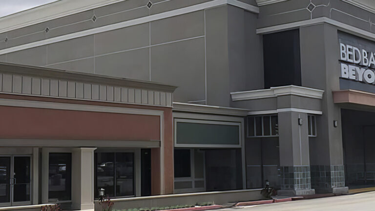 A large, empty Bed Bath & Beyond store with a prominent sign, vacant storefronts, and a mostly empty parking lot under a cloudy sky. Tall palm trees are visible in the background.