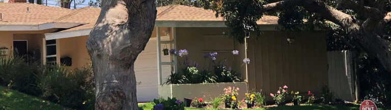 A one-story house with a light brown roof, white garage door, and small front garden with colorful flowers and plants. A large tree trunk and branches partially shade the yard.