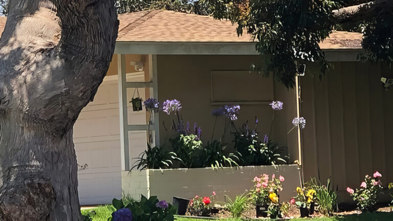 A one-story house with a light brown roof, white garage door, and small front garden with colorful flowers and plants. A large tree trunk and branches partially shade the yard.