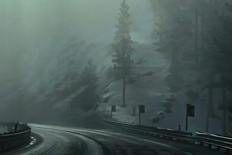 A curved, wet mountain road with guardrails and warning signs winds through a foggy, forested landscape with tall, dark trees and mist obscuring the background.