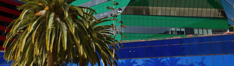 A tall palm tree stands in front of a modern building with vibrant green and blue reflective glass panels, creating colorful reflections and geometric patterns.
