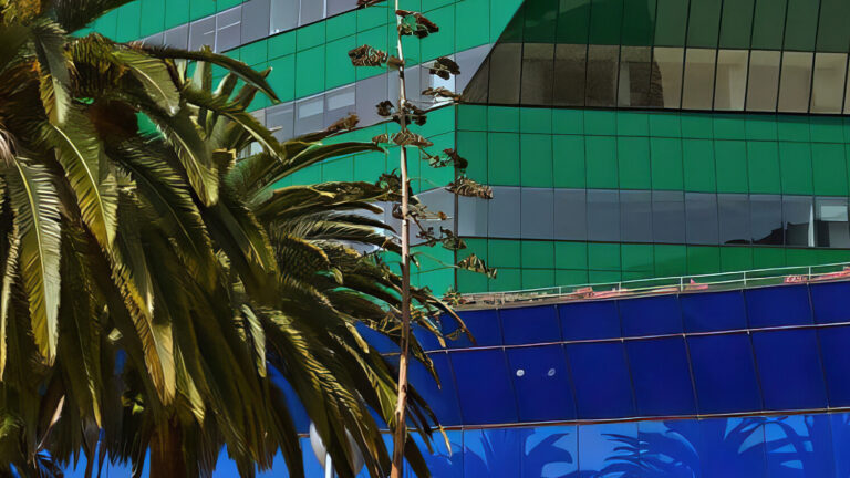 A tall palm tree stands in front of a modern building with vibrant green and blue reflective glass panels, creating colorful reflections and geometric patterns.