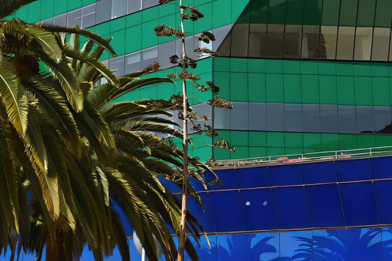 A tall palm tree stands in front of a modern building with vibrant green and blue reflective glass panels, creating colorful reflections and geometric patterns.