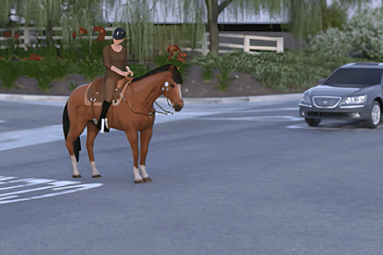 A person wearing a helmet rides a brown horse across an intersection while two cars approach from opposite directions. Trees, bushes, and a white fence are visible in the background.