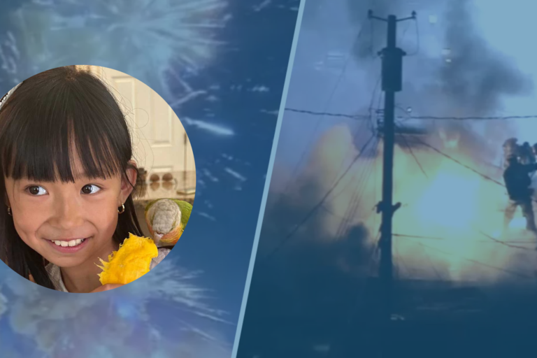 A split image: On the left, a young girl with straight black hair smiles while holding yellow flowers. On the right, people near a power pole stand amidst smoke and bright fireworks at night.
